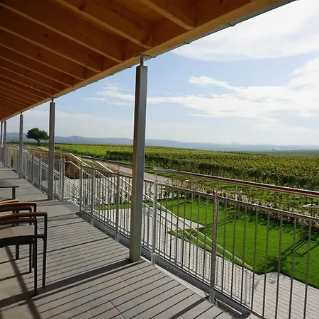 Weingut Schaaf * لاوفن ام نيكار