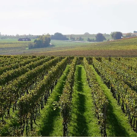 Weingut Schaaf