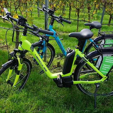 Apartmán Weingut Schaaf Lauffen am Neckar