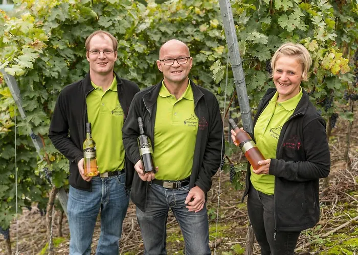 Weingut Schaaf Διαμέρισμα Lauffen am Neckar