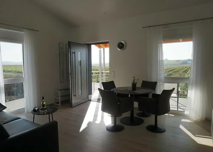 Apartment Weingut Schaaf Lauffen am Neckar