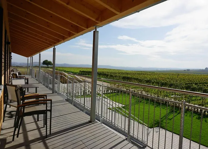 Weingut Schaaf * Lauffen am Neckar