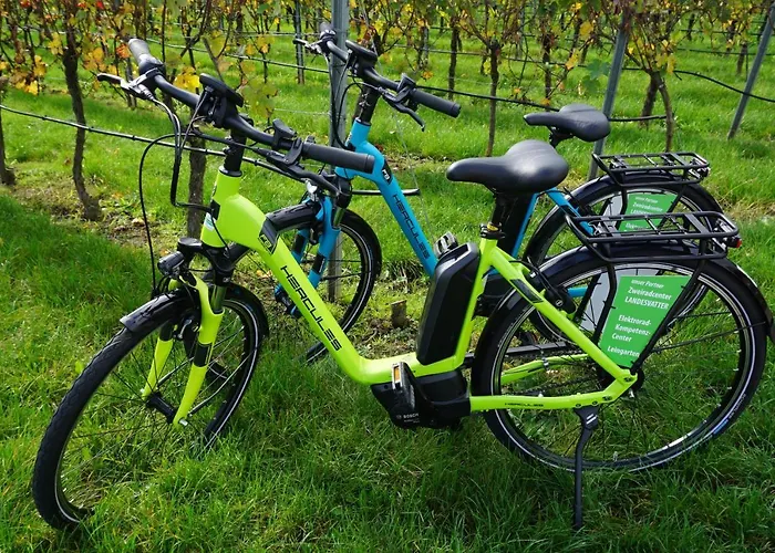 Διαμέρισμα Weingut Schaaf Lauffen am Neckar